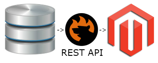 How to Import REST API data to Magento 2