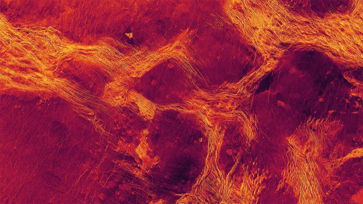 Scientists might have spotted tectonic activity inside Venus