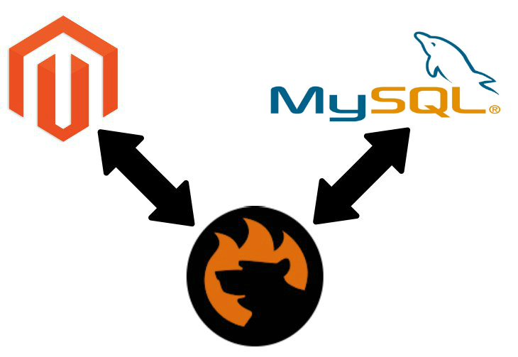 Magento 2 mysql data import