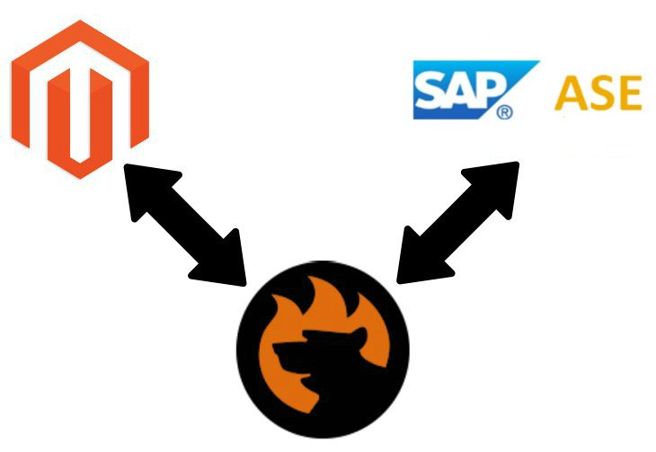 How to import data from SAP ASE (Sybase) database to Magento 2