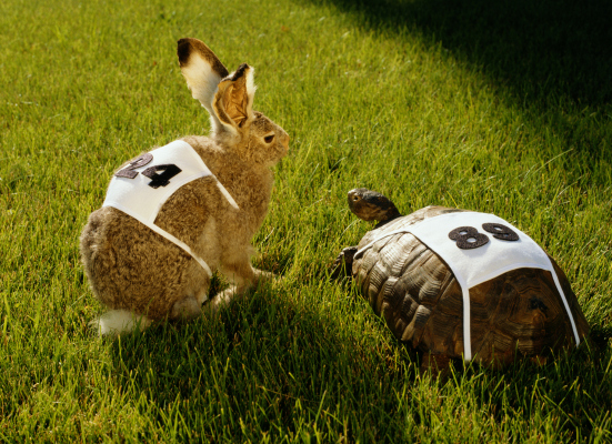 ‘The tortoise and the hare’ story is playing out right now in VC