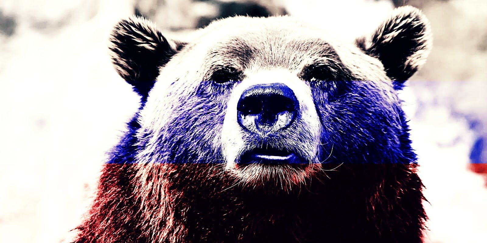 russian hacker-fancy bear phishing