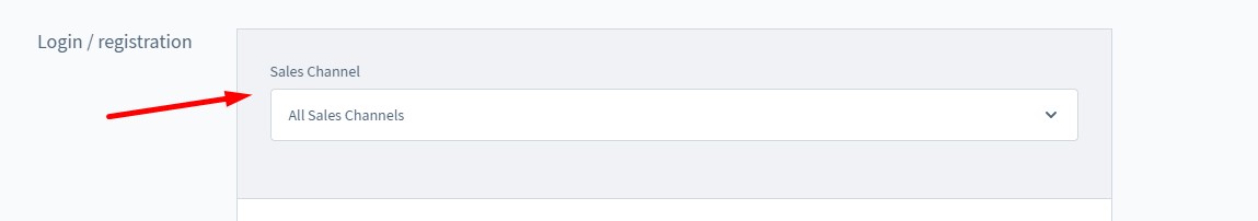 Shopware 6 login registration settings