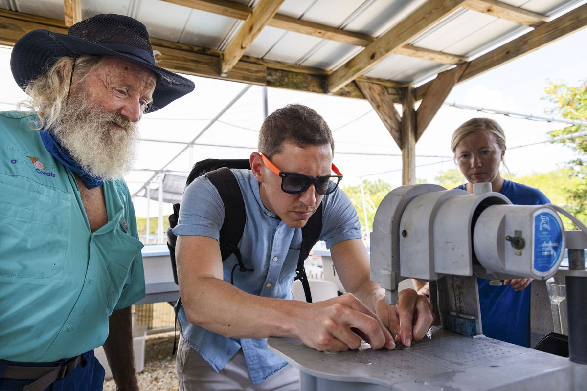 Two people watch as a third cuts a piece of coral using a bench saw.