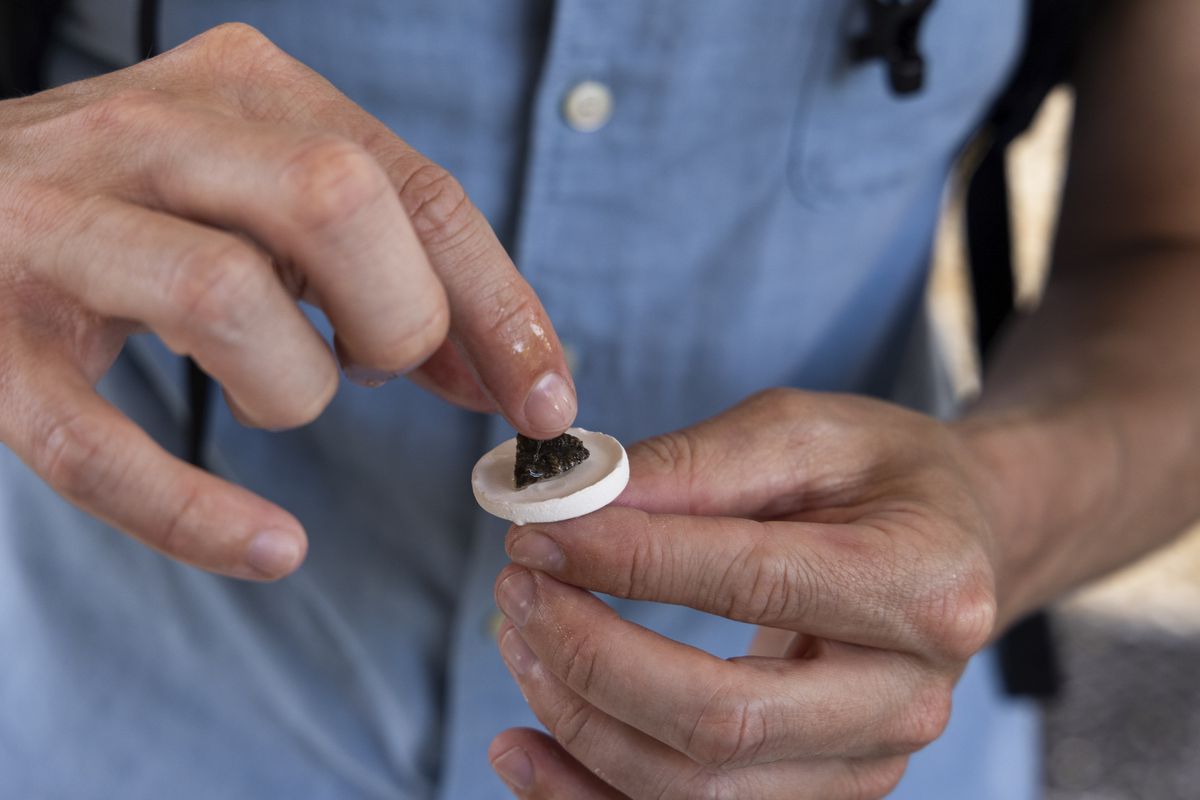 Hands gluing a fragment of coral to a substrate.