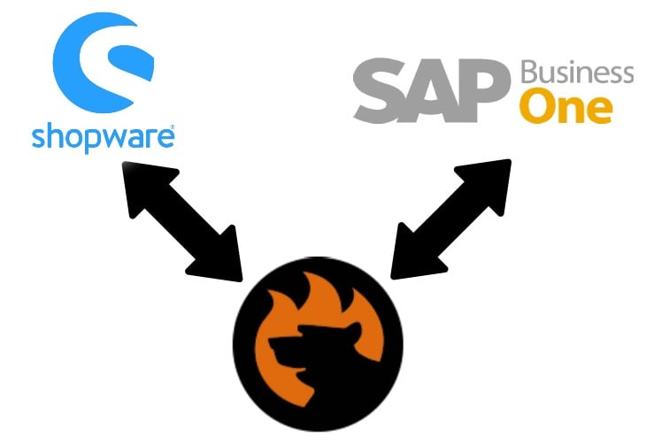 Shopware SAP Integration | FireBear