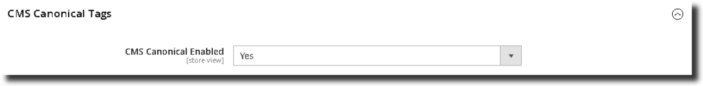 CMS Pages Canonical URL Config