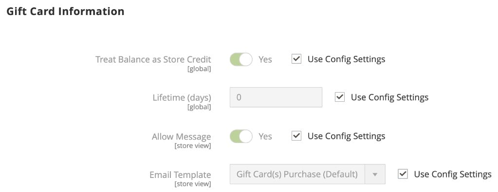 create magento 2 gift card product: gift card information