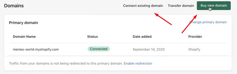 Shopify domain management interface showing options to buy a new domain or connect an existing one