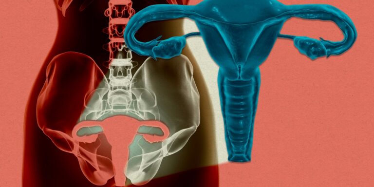 A woman’s uterus has been kept alive outside the body for the first time
