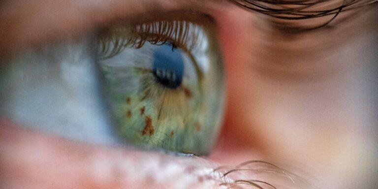  A device that revives eyeballs from dead donors could make eye transplants possible