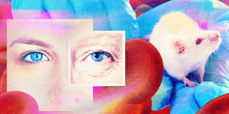 The Download: a secretive antiaging drug and joining virtual power plants