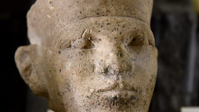 New forensic evidence supports Egyptian 