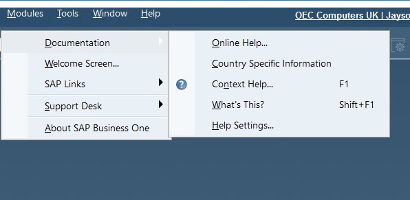 sap business one interface, navigation, customization