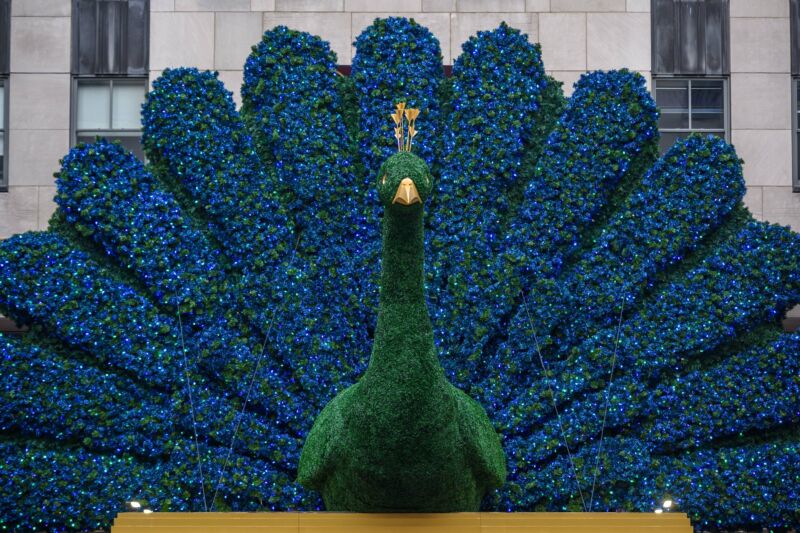 Sculpture of a large peacock.